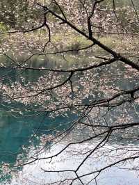 Where waterfalls sing and lakes mirror the sky: Discover Jiuzhaigou