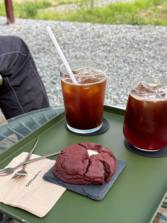 강원도 양양 로컬 카페 컨센트릭 양양☕️