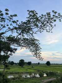 วิวธรรมชาติใกล้บ้าน