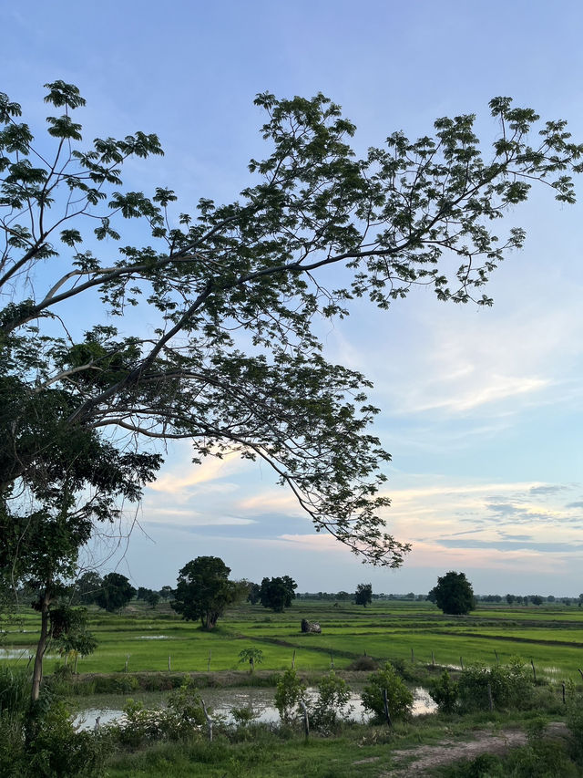 วิวธรรมชาติใกล้บ้าน