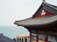 韓國🇰🇷 - 釜山最美寺廟海東龍宮寺