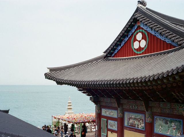 韓國🇰🇷 - 釜山最美寺廟海東龍宮寺