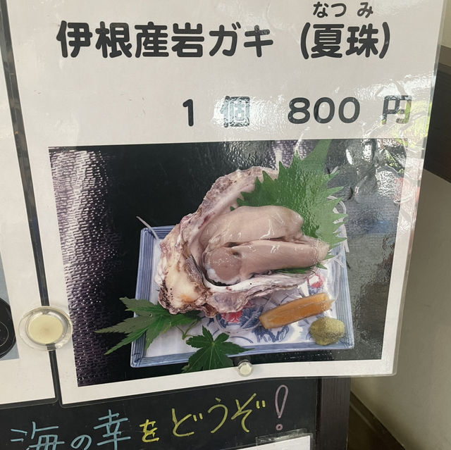京都北部　宮津グランピング&伊根の舟屋