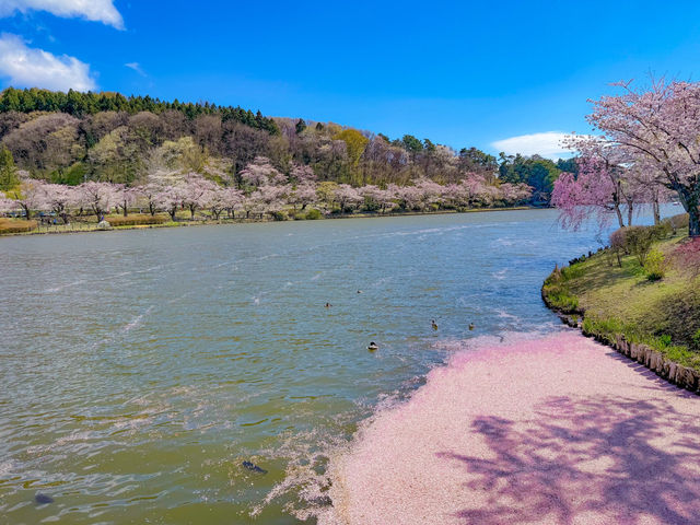 สวนทะคะมัตสึ (Takamatsu Pond Park / 高松の池) 
