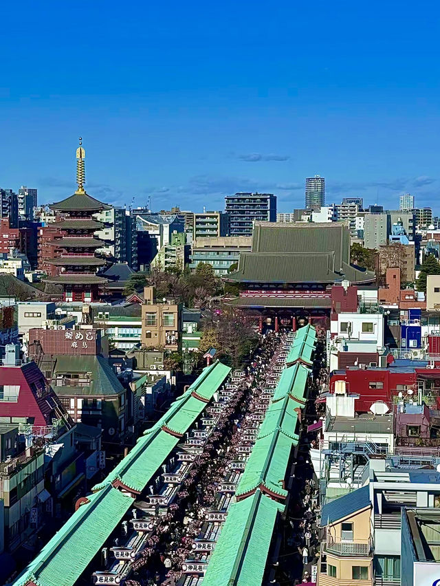 โอซาก้า🇯🇵