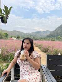 2 Days in Khao Yai: Wine, Flowers & Hidden Gems – My Private Tour Experience from Bangkok 🍷🌻