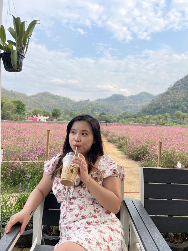 2 Days in Khao Yai: Wine, Flowers & Hidden Gems – My Private Tour Experience from Bangkok 🍷🌻