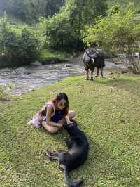 Le Chi Pu HomeStay