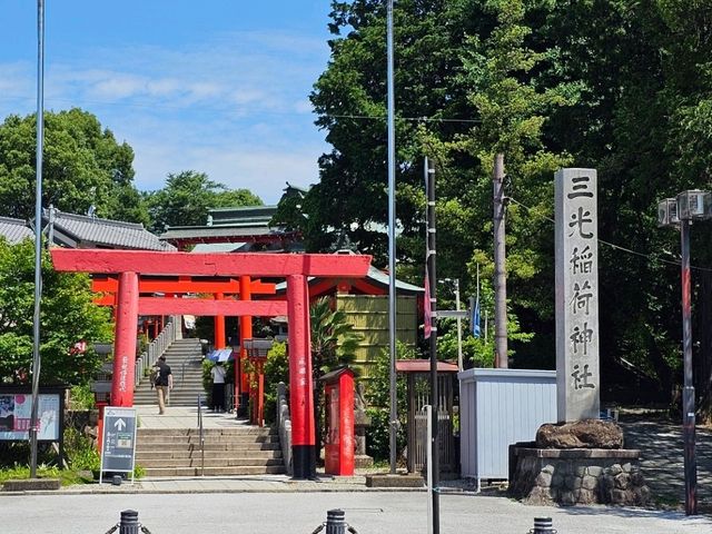 犬山半日遊行程，穿越古城與神社的悠閒漫步之旅 🏯🦊
