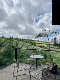 lembahmanah_kopi