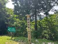 【霊気漂う山旅🌿】若杉山で心と体を浄化する登山体験