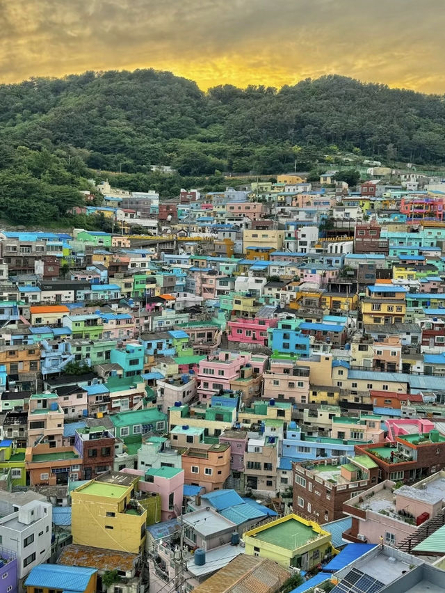 釜山 | 藏在韓劇里的浪漫海濱之城🏙️