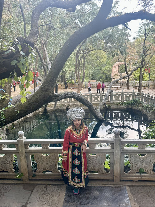 Discover the Colorful Charm of Butterfly Park – A Hidden Gem in Yunnan