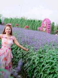  Maple Gardens กาญจนบุรี