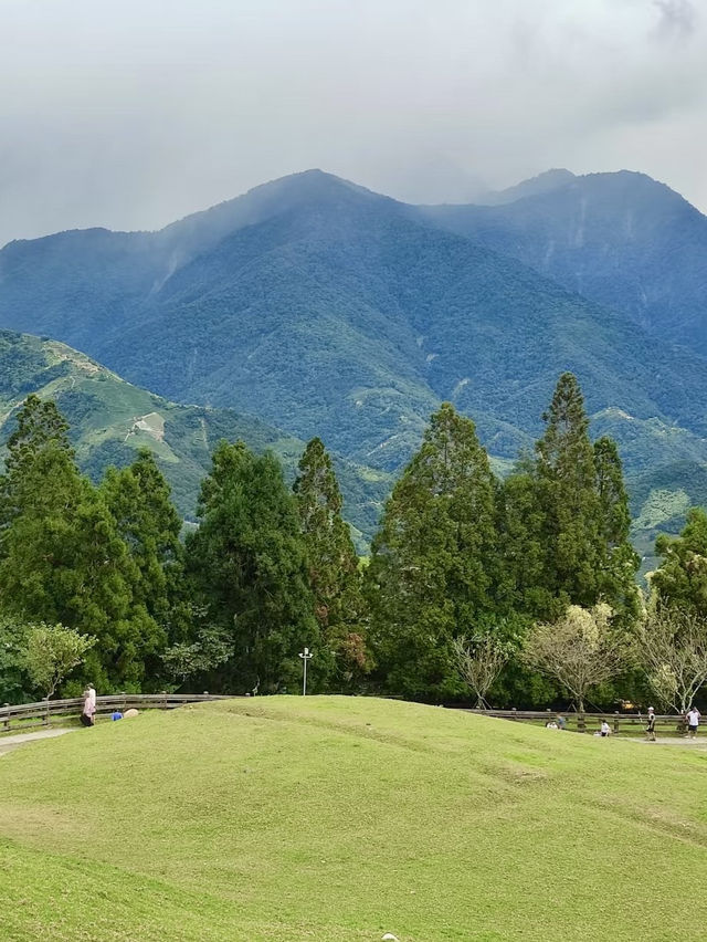 🌄 清境農場全攻略｜綿羊、山景、療癒放空一日遊 🐑🍃