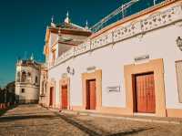 Stepping into Tradition – My Visit to Plaza de Toros de Sevilla
