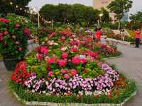 The decoration of blossoming hydrangeas at Jangsaengpo