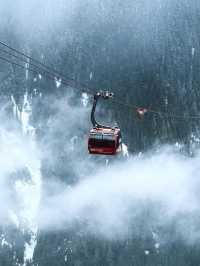 🎿【四季を通じて楽しめる！ウィスラーで自然とアクティビティの贅沢旅】🎿【四季を通じて楽し