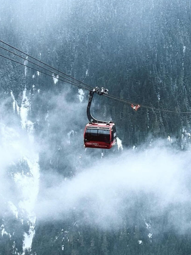 🎿【四季を通じて楽しめる！ウィスラーで自然とアクティビティの贅沢旅】🎿【四季を通じて楽し