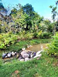 Nostalgic feels at Cascading creeks