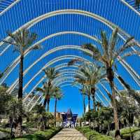 The ciutat de les Arts