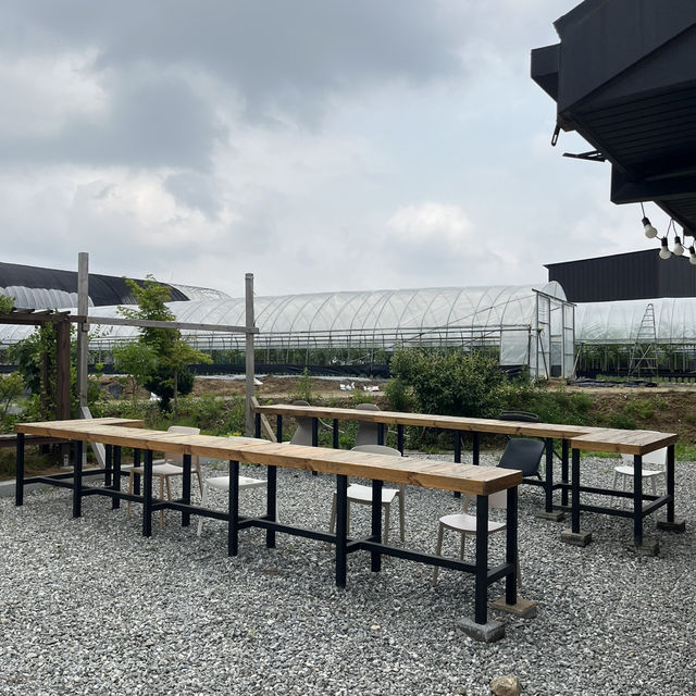 청주 옥산에 쌀로 만든 디저트를 판매하는 소로리쌀상회 🌾