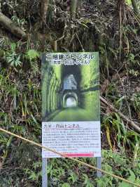 自然豊かな養老渓谷オススメスポット