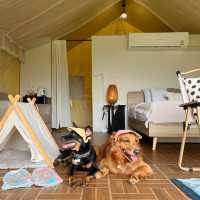 🍃🪵 ที่พักเขาใหญ่บนเนินเขา Pet friendly