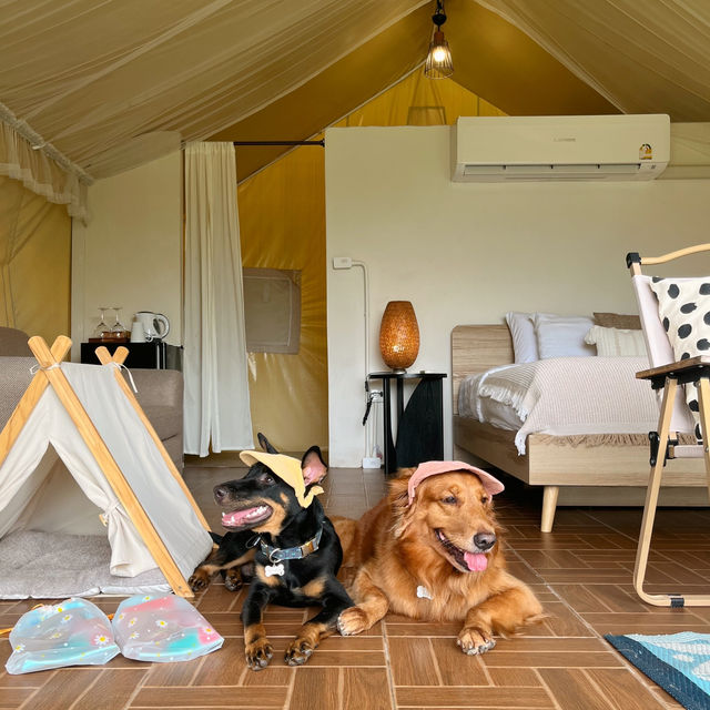 🍃🪵 ที่พักเขาใหญ่บนเนินเขา Pet friendly