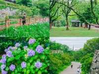 𝐅𝐮𝐤𝐮𝐨𝐤𝐚 5 วัน กับ 25 พิกัดสุดฟินช่วง summer