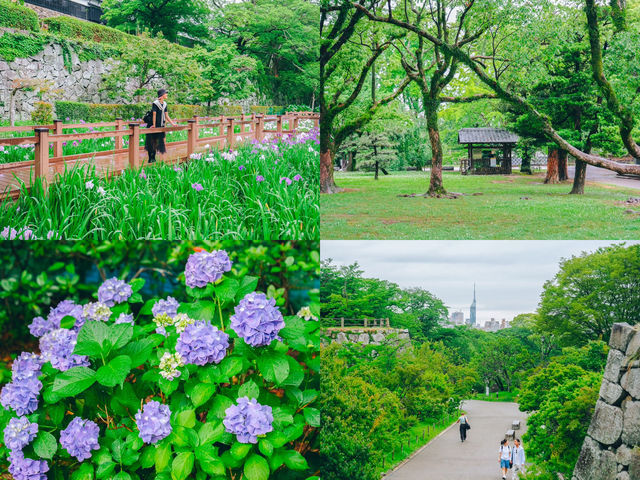 𝐅𝐮𝐤𝐮𝐨𝐤𝐚 5 วัน กับ 25 พิกัดสุดฟินช่วง summer
