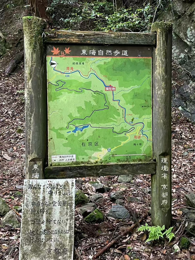  A Peaceful Hidden Hike in Kyoto – Arashiyama to Takao Nature Trail 