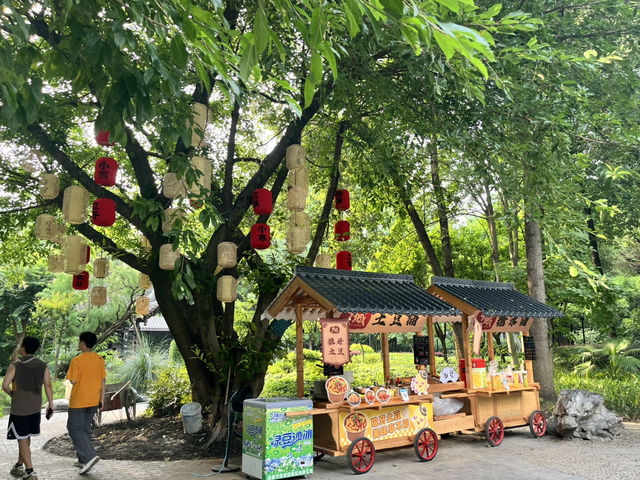🌿☀️ Slow down and soak up the vibes at Chengdu People’s Park 人民公园