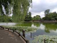 旭川巴士2日遊-常磐公園，旭山動物園