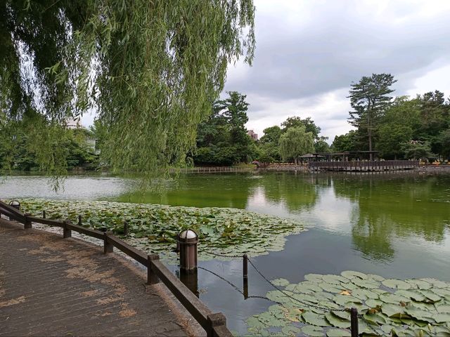 旭川巴士2日遊-常磐公園，旭山動物園