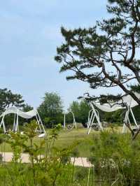 Boramae Park, Seoul – A Peaceful Urban Green Space