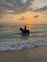 Escaping to Paradise: Summer in Gili Trawangan
