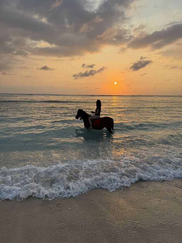 Escaping to Paradise: Summer in Gili Trawangan