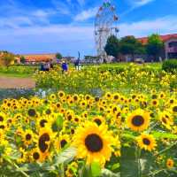 長井海之手公園