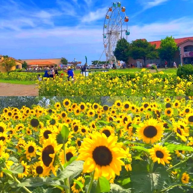 長井海之手公園