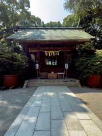 Discover the Magic of Hotoku Ninomiya Shrine: A Summer Adventure in Japan!