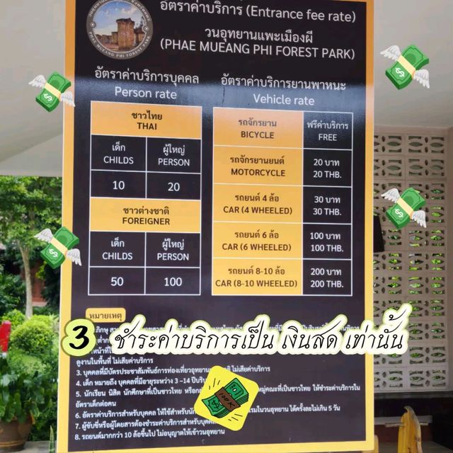 🌿 7 ข้อควรรู้ก่อนไปวนอุทยานและเมืองผี