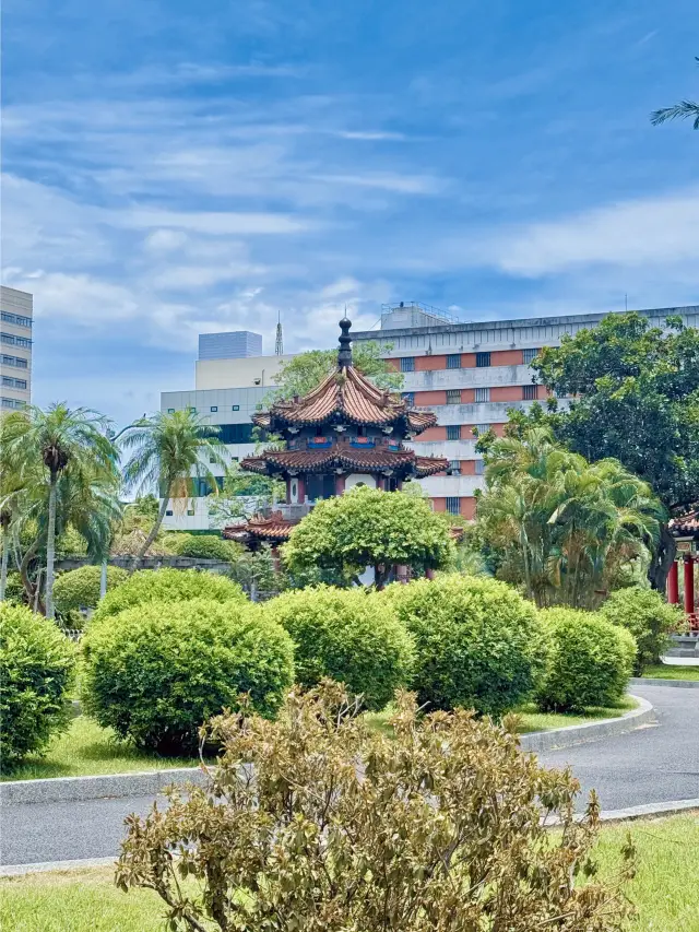 Taipei's Beautiful Park