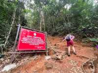 🏞 Gunung Lambak: Conquered the Jungle Beast!