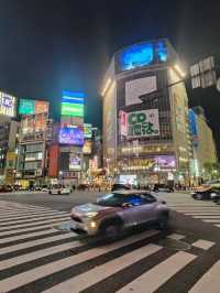 Tokyo - a beautiful city of contrasts 