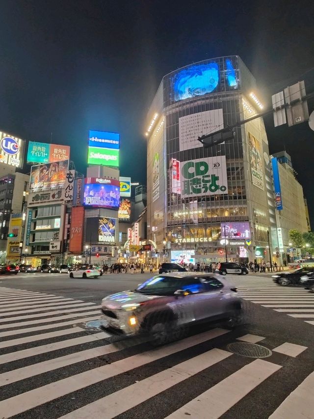 Tokyo - a beautiful city of contrasts 