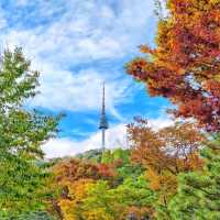🇰🇷 Peak of Seoul: Namsan's Mesmerizing View!