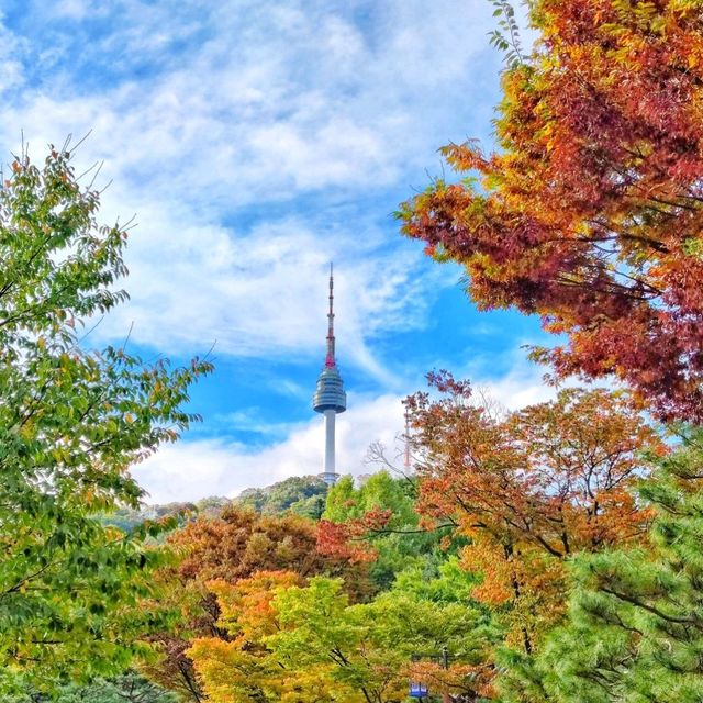 🇰🇷 Peak of Seoul: Namsan's Mesmerizing View!