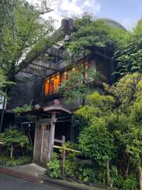 Ueno Park: A Peaceful Escape in the Bustling City