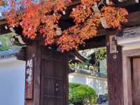 京都紅葉名勝：東福寺